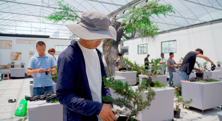 宿遷沭陽(yáng) “美麗”轉(zhuǎn)型“花”更香